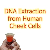 Human DNA Extraction Lab