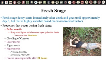 Preview of Human Decomposition PPT+notes for Forensics/Criminal Investigations