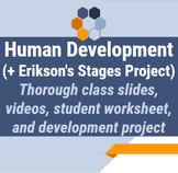 Human Development & Erikson's Stages (Class Slides, Worksh