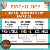 Human Development Part 1 - Psychology Interactive Note-tak