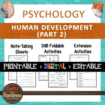 Preview of Human Development Part 2 - Psychology Interactive Note-taking Activities
