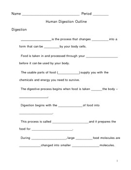 Preview of Human Digestion Notes Outline Lesson Plan