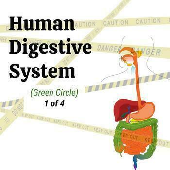 Preview of Human Digestive System - Middle School Science 1of4