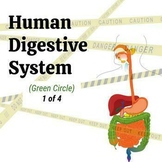 Human Digestive System - Middle School Science 1of4