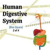 Human Digestive System - Middle School Science 2of4