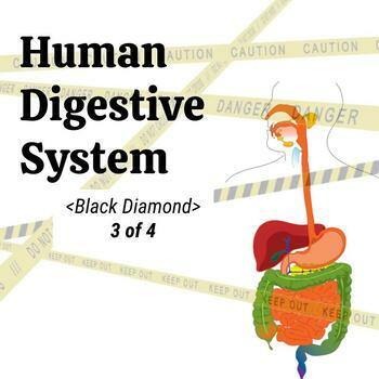 Preview of Human Digestive System - Middle School Science 3of4