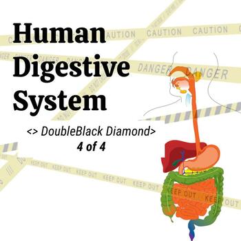 Preview of Human Digestive System - Middle School Science 4of4