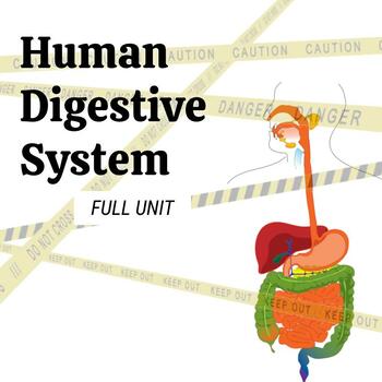 Preview of Human Digestive System - Middle School Science FULL UNIT