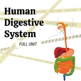 Human Digestive System - Middle School Science FULL UNIT
