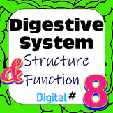 Human Digestive System Structure & Function #8 Digital Int