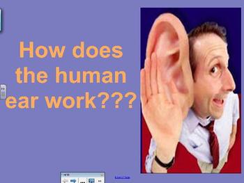 Preview of Human Ear SmartBoard Lesson