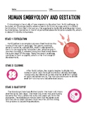 Human Embryology and Gestation
