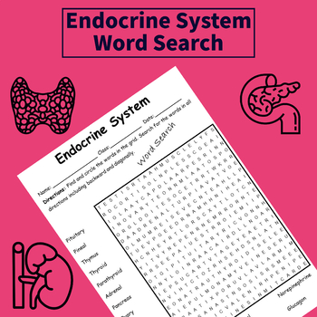 Preview of Human Endocrine System Word Search Activity