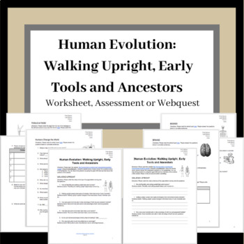 Preview of Human Evolution: Walking Upright, Early Tools and Ancestors