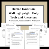 Human Evolution: Walking Upright, Early Tools and Ancestors