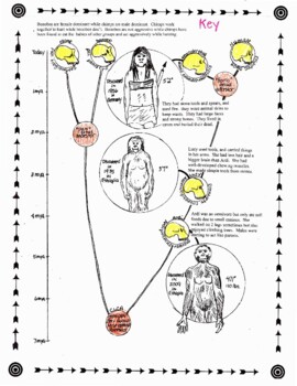 Human Evolution Worksheet by Biology Buff | Teachers Pay Teachers