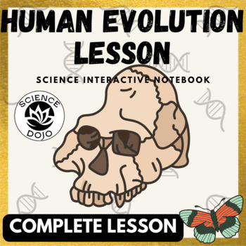 Preview of Human Evolution and Natural Selection Lesson (Notes, Slides, and Lab Activity)