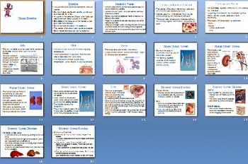 Preview of Human Excretion Smartboard Notebook Presentation Lesson Plan