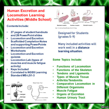 Preview of Human Excretion and Locomotion Learning Activities for Middle School
