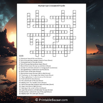 Human Eye Crossword Puzzle Worksheet Activity by Crossword Corner