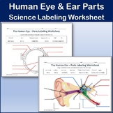 Human Eye & Ear Diagram Labeling Worksheet - Science