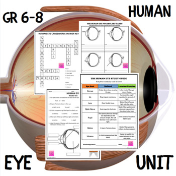 Preview of Human Eye Unit | Middle School Science