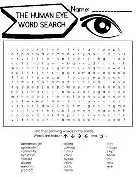 Human Eye Word Search by with Grit and Gusto | TPT