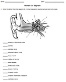 Human Eye and Ear Diagrams