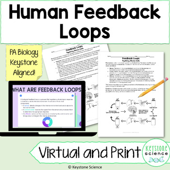 Preview of Human Feedback Loops Readings and Digital Drag and Drop Activity