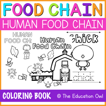 human food chain examples for kids