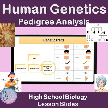 Preview of Human Genetics Pedigree Analysis | PowerPoint Lesson Slides High School Biology