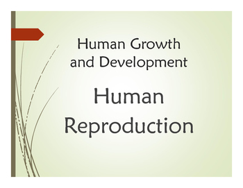 Preview of Human Growth and Development: Human Reproduction PowerPoint Presentation