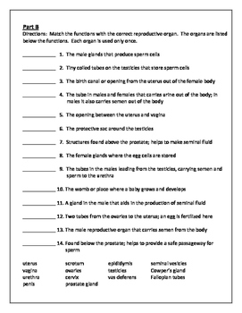 Human Growth and Development: Male and Female Reproductive Systems Quiz