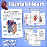 Human Heart Activity Bundle | Human Anatomy Bundle | The H