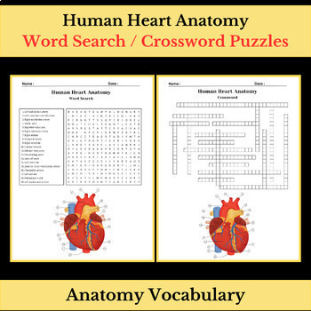 Preview of Human Heart Anatomy | Science Vocabulary | Word Search & Crossword Puzzles