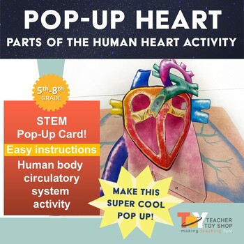 Preview of Human Heart Circulatory System STEAM Paper Model Activity