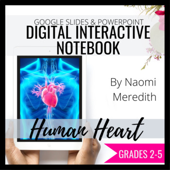 Preview of Human Heart Digital Interactive Notebook