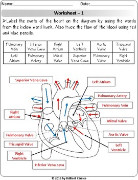 Human Heart: Labeling Diagram, Blood path Trace by Arrow ...