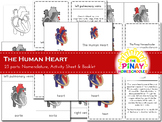 Human Heart Learning Pack