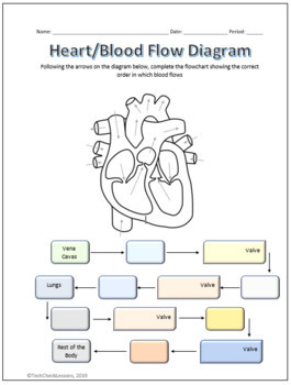 Human Heart Parts and Blood Flow Labeling Worksheets ...
