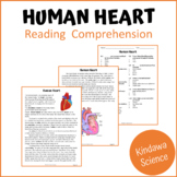 Human Heart Reading Comprehension Passage and Questions - PDF