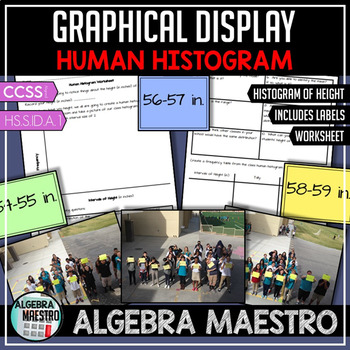 Preview of Human Histogram Activity & Worksheet
