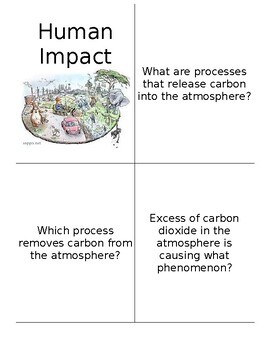 Preview of Human Impact Flashcards