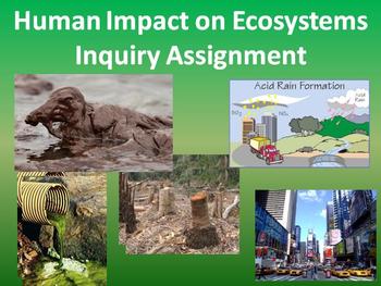 Preview of Human Impact on Ecosystems Assignment - Collaborative, Inquiry-Based Assessment
