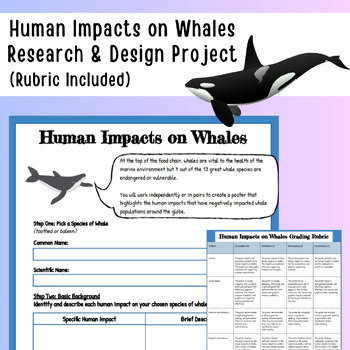 Preview of Human Impacts/Threats to Whales Research & Design Project