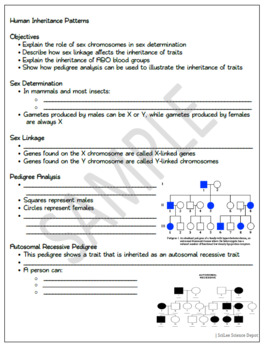 Human Inheritance Patterns: PowerPoint, Student Guided Notes, Worksheet