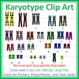 Human Karyotype Chromosome Clip Art: Diagrams for Posters,