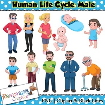 cycle of human life