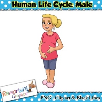 human life cycle clipart