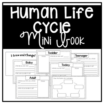 Preview of Human Life Cycle Mini Book